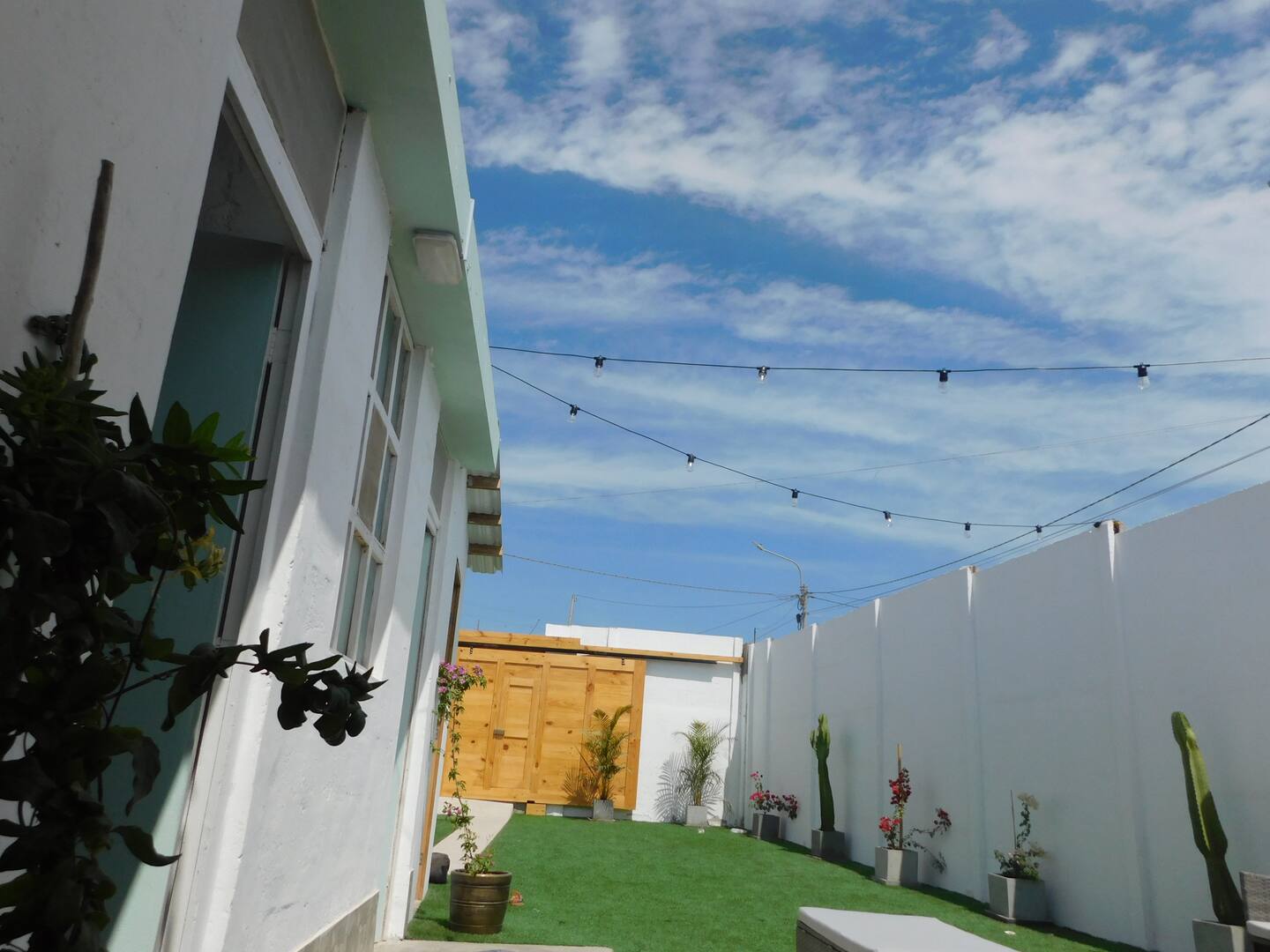 Jardín con césped, plantas y luces colgantes